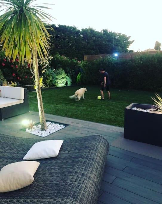 Villa Maison De Vacances Contemporaine Avec Piscine à Vedène Extérieur photo